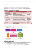 Uitgebreide samenvatting COLLEGES en LITERATUUR behandelingsmethodiek