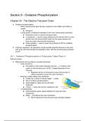 Samenvatting "Biochemistry: A Short Course" (John L. Tymoczko) Section 9 (H20 en H21)