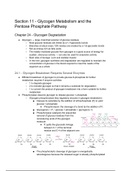 Samenvatting "Biochemistry: A Short Course" (John L. Tymoczko) Section 11 (H24, H25 en H26)