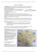 Samenvatting Business Processes ( case uitwerkingen en vragen/antwoorden instructiecolleges)