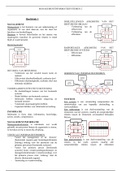 Informatiemanagement [Laury Bollen & Mark Vluggen, 2e druk]