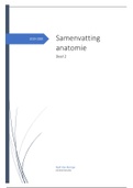 Samenvatting anatomie deel 2