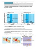 BASICS OF MUSCLES 