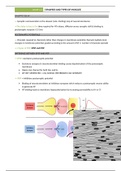 SYNAPSES AND TYPES OF MUSCLES