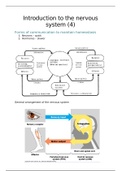 Introduction to the nervous system