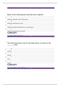 Sophia Art History 1 Milestone 2 (Solutions)|Art history 1 Unit 2 Milestone Sophia Course.