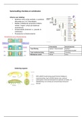 Chordata, vertebraten HD 34 Campbell Biology