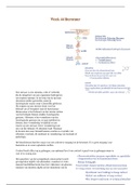 Neurobiologische achtergrond van opvoeding en ontwikkeling deel b - week 44 samenvatting