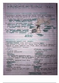 Posterior Pituitary + Hypothalamus Hormones: Oxytocin, ADH