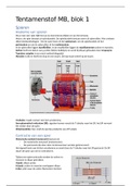 Tentamenstof MB, blok 1.1