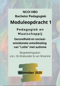 NCOI Moduleopdracht 1 Pedagogiek en Maatschappij case analyse