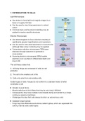 IB Biology: Cell Biology Summary