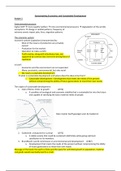 Summary Economics and Sustainable Development 