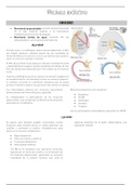 Introducción a la mecánica ventilatoria