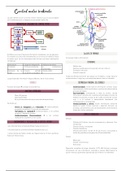 Control motor indirecto: generalidades