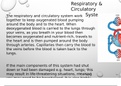 The Respiratory System and Circulation System - Biology 