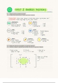IB Sports Exercise Health Science (SEHS) Unit 3 Energy Systems  (SL)