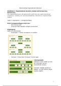 Samenvatting Organizational Behaviour H1-H10 (geen H8)