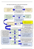 Samenvatting Triage, voorlichting en advies