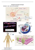 Tekeningen van Biologische psychologie 1