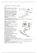 Hoofdstuk 17 - DNA in je cellen - VWO