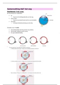 Oculaire anatomie: De Uvea