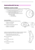 Oculaire anatomie: Cornea en sclera