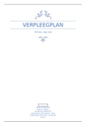 Verpleegplan plp-basis stage leerjaar 2