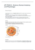 ATI TEAS 6 - Science (Human Anatomy and Physiology)