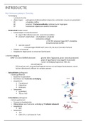 Eigen en Niet eigen: samenvatting van slides   notities 