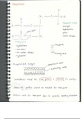 AS Biology Transport across Cell Membrane and Cell Division