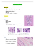 Practica Pathologie Coupes