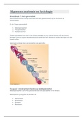 Anatomie en Fysiologie H7: het spierstelsel