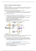 Lecture 20: Mitochondrial aspects 