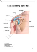 Fysiotherapie HS Leiden Samenvatting Periode 6 Jaar 2