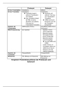 Vergleich der Proteinbiosynthese bei Prokaryot und Eukaryot