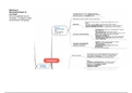 Mindmap 3 Pathologie en Dietetiek: Nieraandoeningen en oncologie