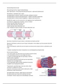 samenvatting theorietoets 1.1 fysiotherapie