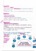 Anatomy & Physiology