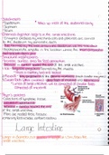 Anatomy & Physiology