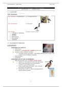 Neerhofdieren - samenvatting