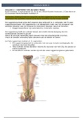 Samenvatting Medisch anatomie van de nabij trias