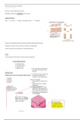 The animal structures & functions (TISSUES)