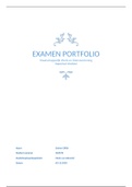 Examenportfolio jaar 4