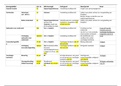 Schema van staande houden tot en met gevangenhouding