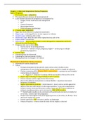 NURSING 229 Chapter 11 Maternal Adaptations During Pregnancy.