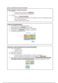 General Biology Lecture 6 & 7: Membrane Structure & Function & Transport of Molecules Across the Plasma Membrane