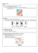 General Biology I - Lecture 26: Viruses