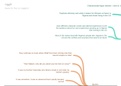 The Thing Around Your Neck Mindmap Summary