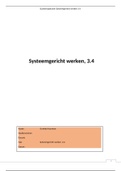 Essay Systeemgericht werken